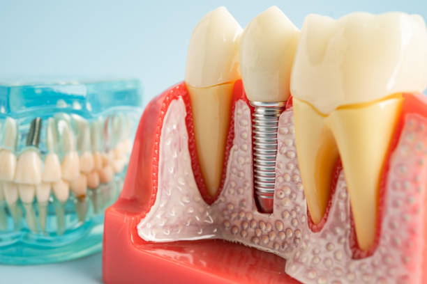 Best Oral Surgery  in Hinesville, GA